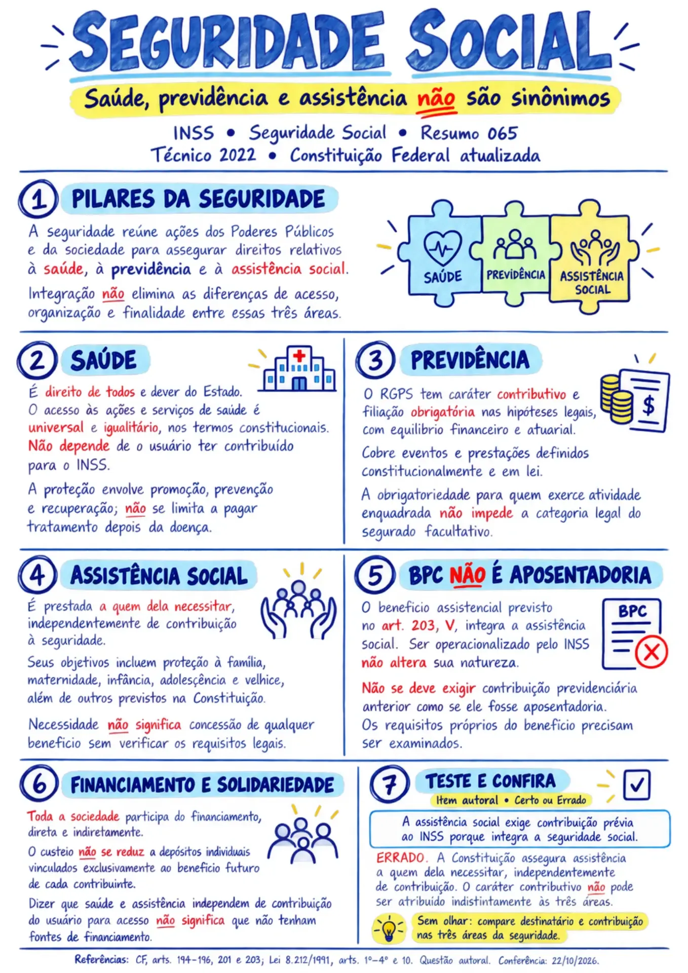 Página ilustrada INSS — Resumo 065