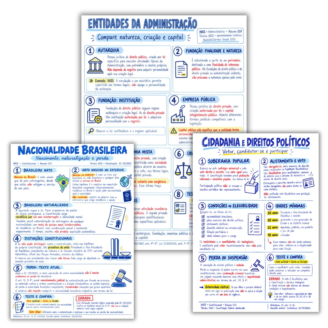 Páginas ilustradas do material para o INSS organizadas em conjunto